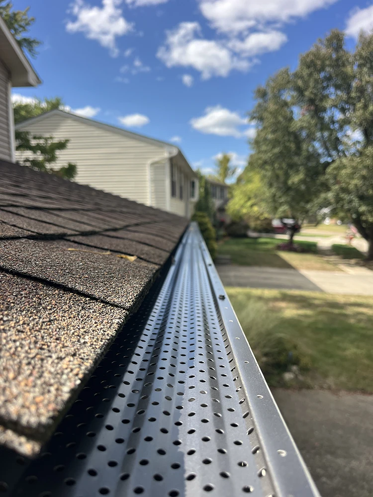 leaf filters bulldog